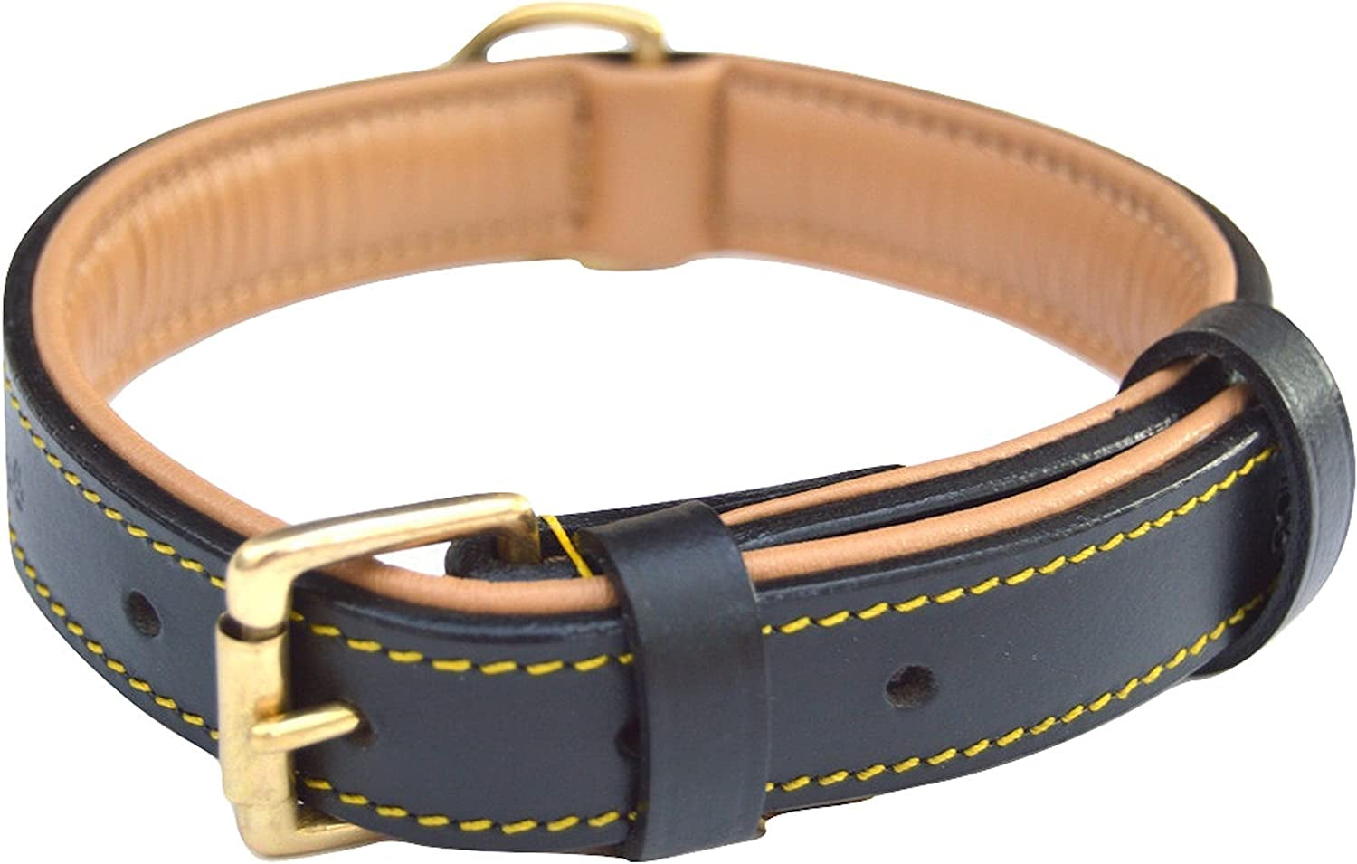 Padded Leather Dog Collar - Everyday-Sales.com