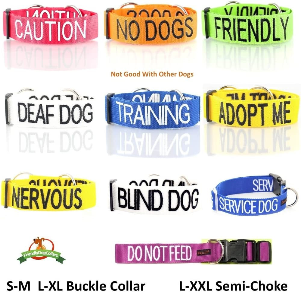 Service Dog Blue Color Coded Collar - Everyday-Sales.com