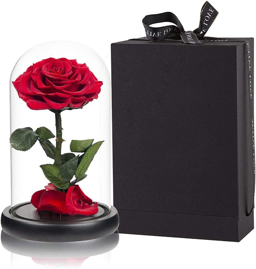 Preserved Red Rose in Glass Dome - Everyday-Sales.com