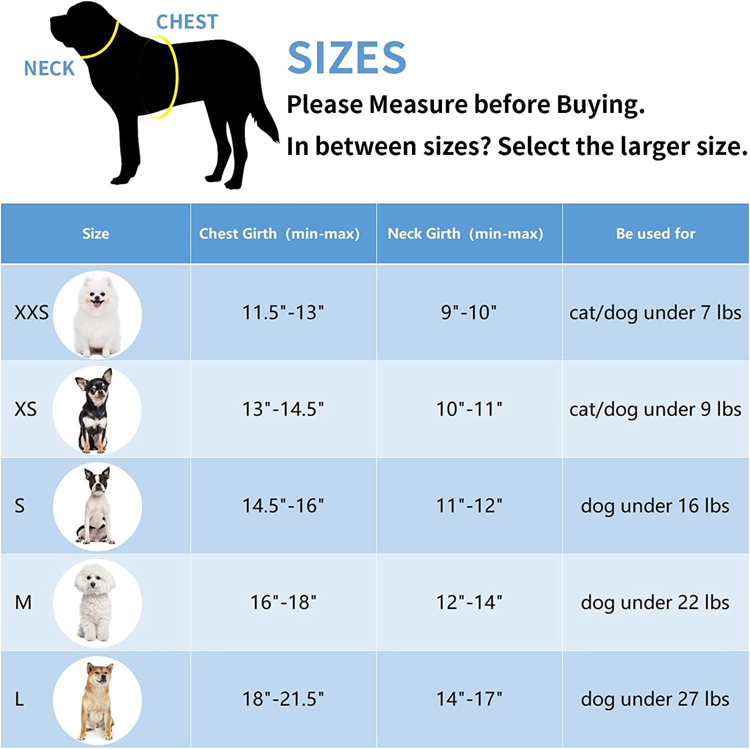 Dog Vest Harness and Leash Set - Everyday-Sales.com