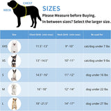 Step in Dog Harness and Leash Set - Dog Vest Harness with Super Breathable Mesh, Reflective No-Pull Pet Harness for Outdoor Walking, Training for Small and Medium Dogs, Cats