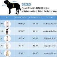 Step in Dog Harness and Leash Set - Dog Vest Harness with Super Breathable Mesh, Reflective No-Pull Pet Harness for Outdoor Walking, Training for Small and Medium Dogs, Cats