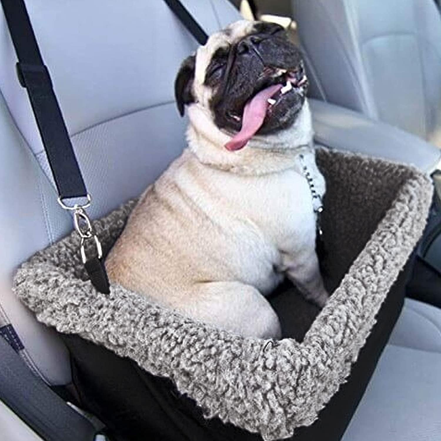 Deluxe Pet Car Seat - Everyday-Sales.com