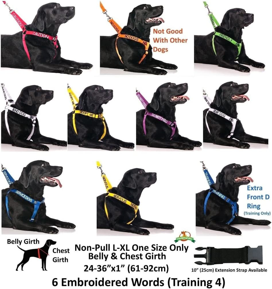 NO Dogs Orange Color Coded Leash - Everyday-Sales.com
