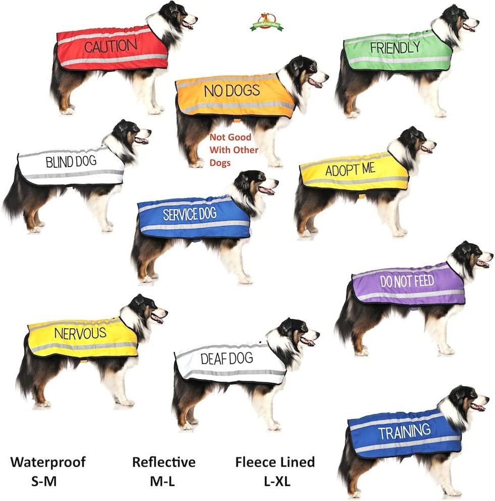 Service Dog Blue Color Coded Collar - Everyday-Sales.com