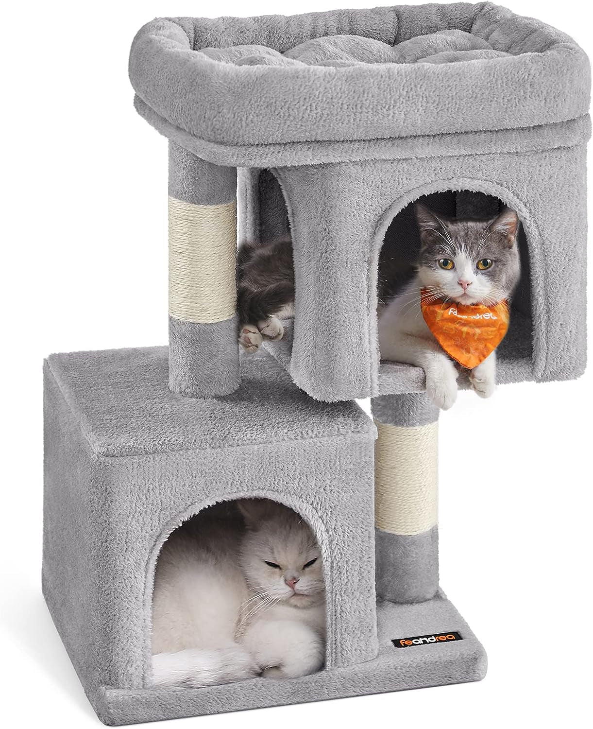 65-Inch Modern Cat Tower for Indoor Cats - Everyday-Sales.com